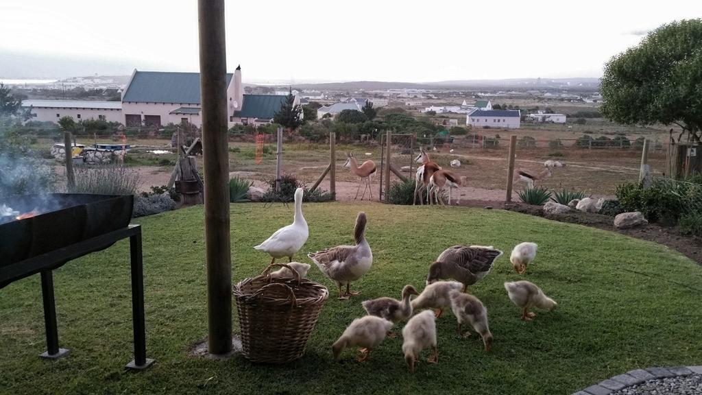 The Stables Cottages Langebaan Room photo