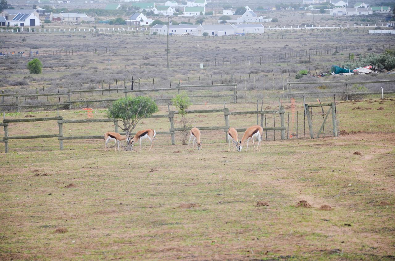 The Stables Cottages Langebaan Exterior photo